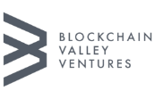 Blockchain Valley Ventures logo mono